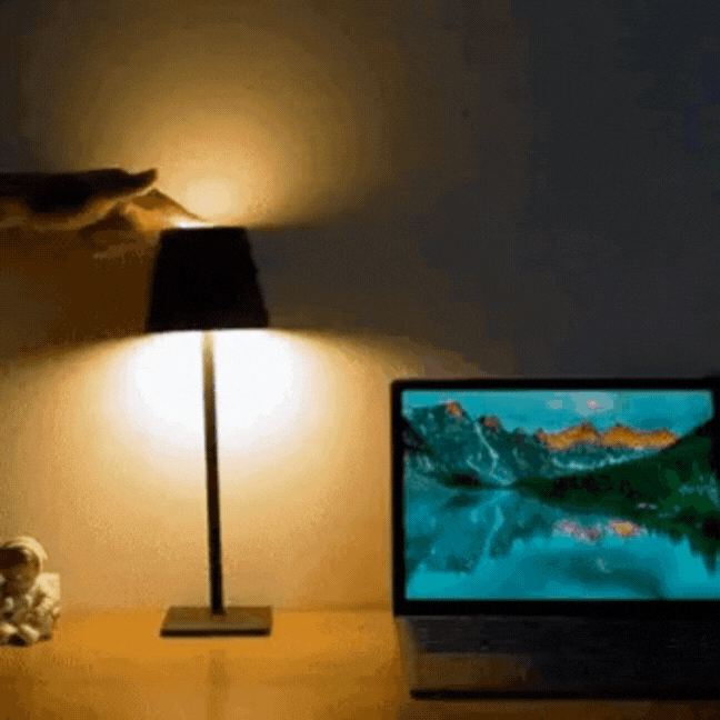 Nordia Light Wireless Rechargeable Multifunctional Table Lamp