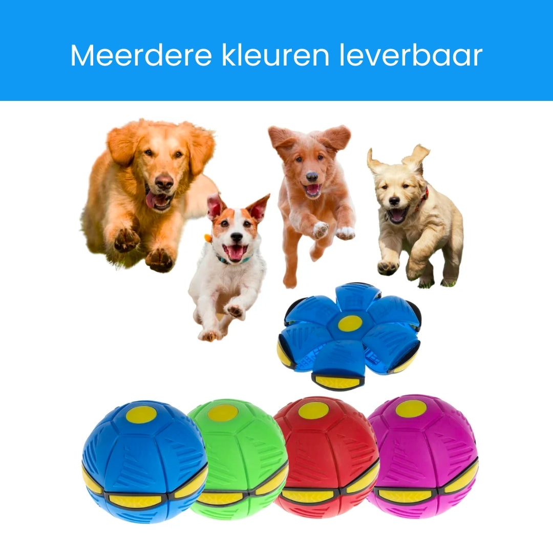 PowerBall | Hours of playtime for your favourite furry friend