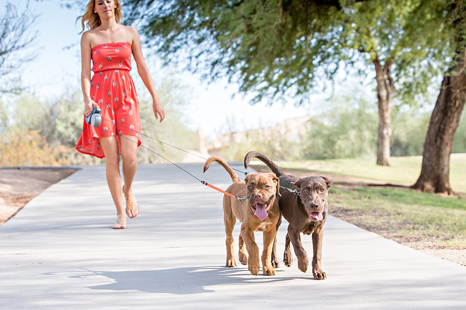 Dual Dog Flexi Lead