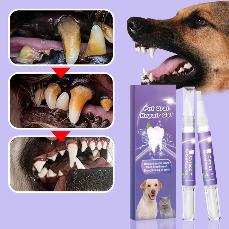 FreshPaws Pet Toothpaste Gel | Tartar and Stain Remover for a Healthier Smile