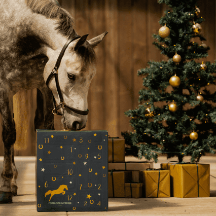 EquiTrend | 2025 Advent Calendar for Horse Lovers
