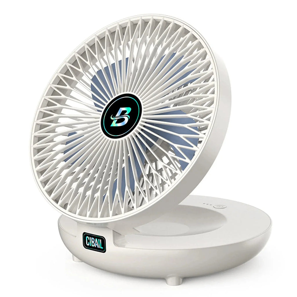 Domestic Dual-Use Kitchen Fan