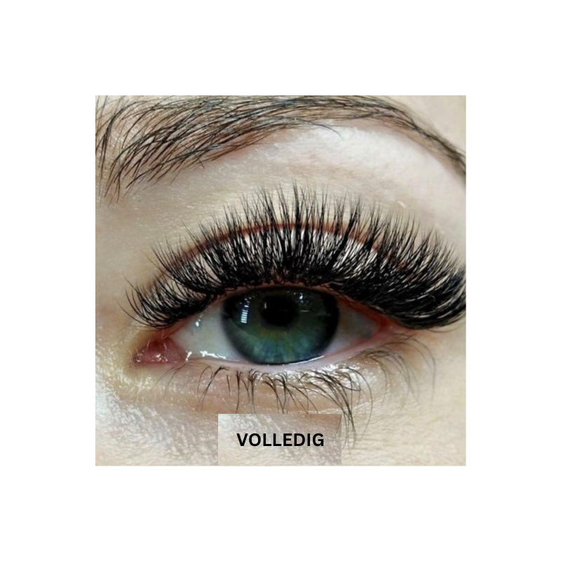 MagnetLash eyelashes | Magical eyelashes without glue