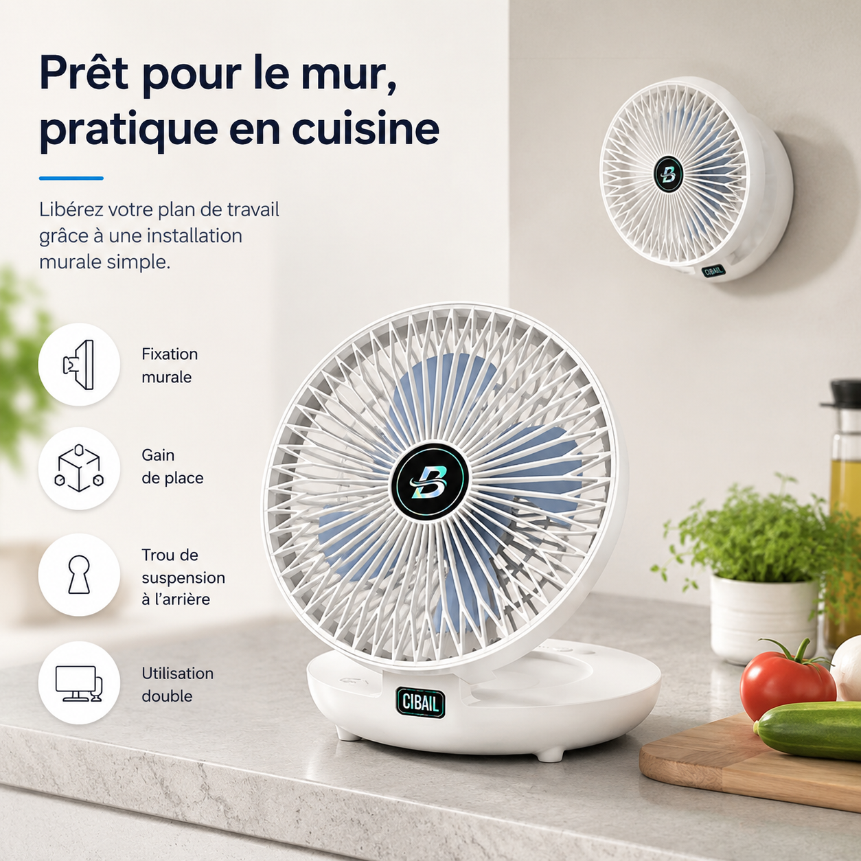 Domestic Dual-Use Kitchen Fan
