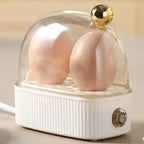 KookNest Mini Egg Cooker – Automatic Electric Egg Cooker for 2 Eggs